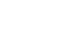 VISA wight icon